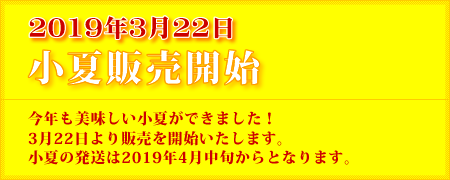 小夏の販売を開始しました。発送は2019年4月中旬からとなります