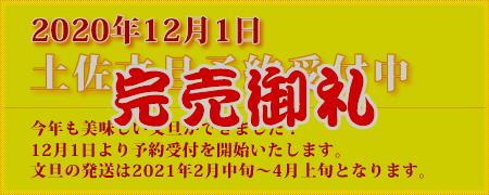 2020年12月1日土佐文旦予約受付中 完売御礼