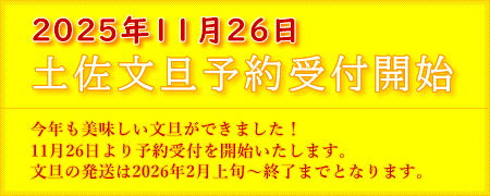 土佐文旦予約受付開始